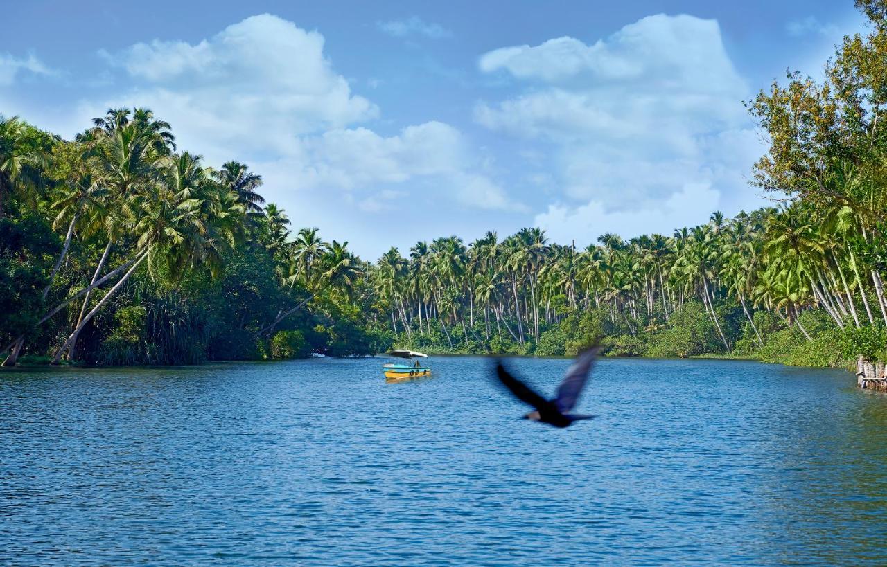 Estuary Sarovar Premiere Poovar Island Eksteriør billede
